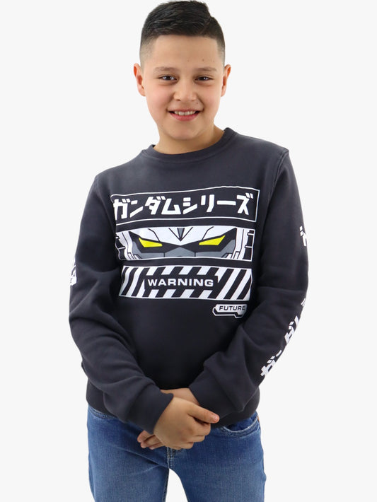 Sudadera cerrada con estampado de color gris