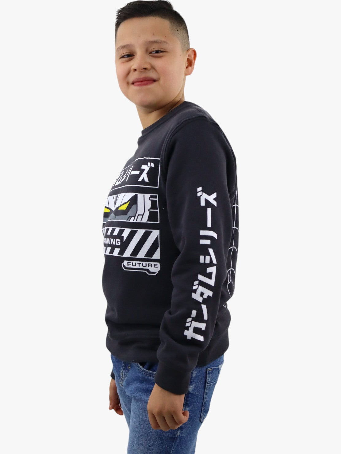 Sudadera cerrada con estampado de color gris