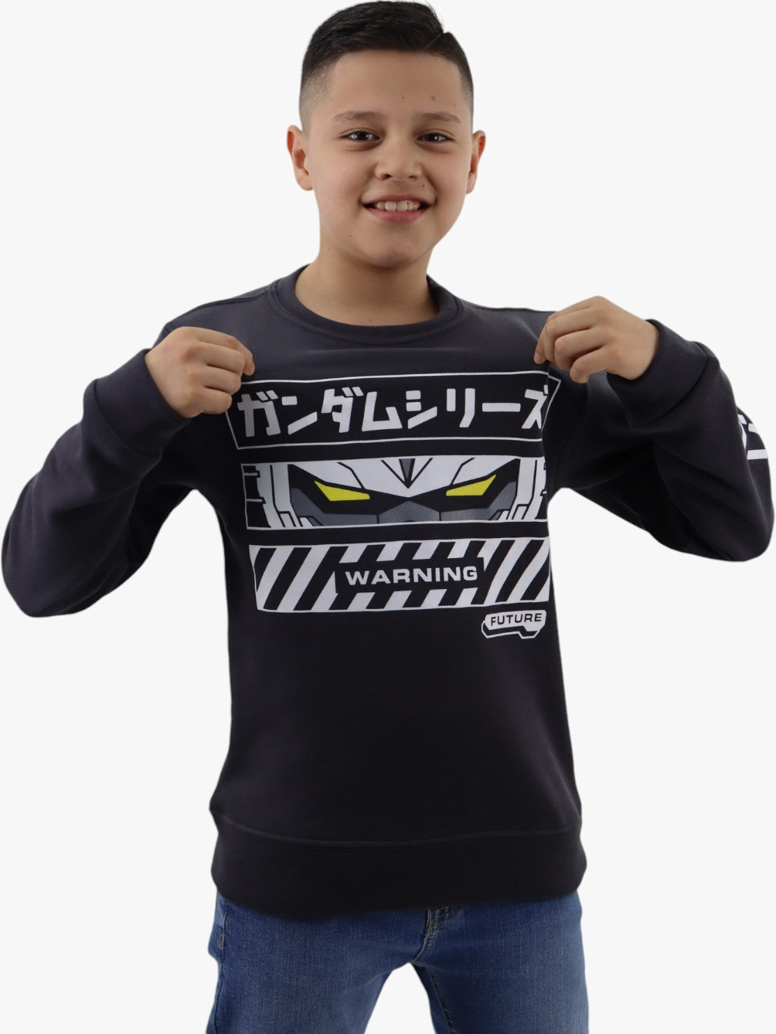 Sudadera cerrada con estampado de color gris
