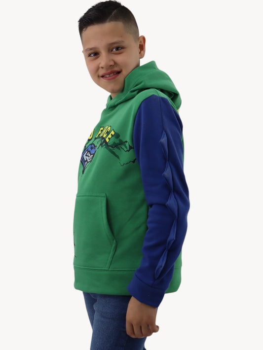 Sudadera con diseño de dinosaurio