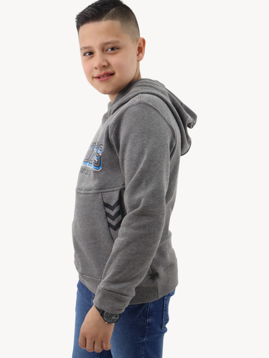 Sudadera con capucha de color gris con estampado