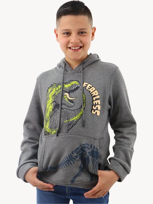 Sudadera con diseño de dinosaurio gris