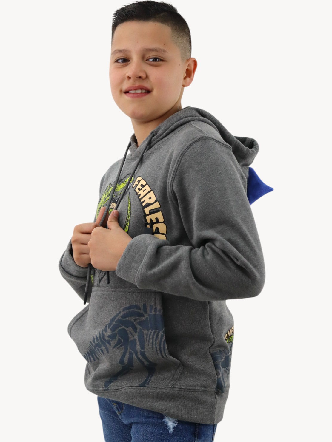 Sudadera con diseño de dinosaurio gris