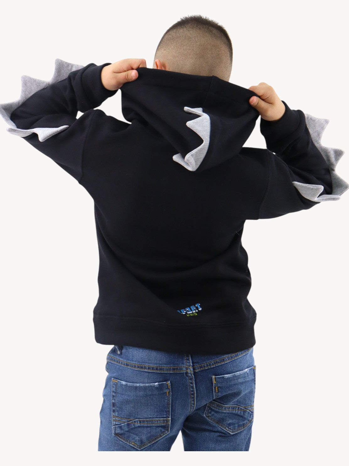 Sudadera con diseño de dinosaurio