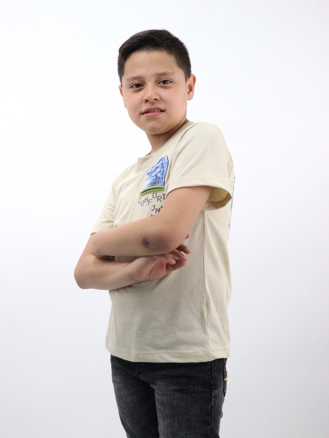 Playera manga corta con estampado de dinosaurio