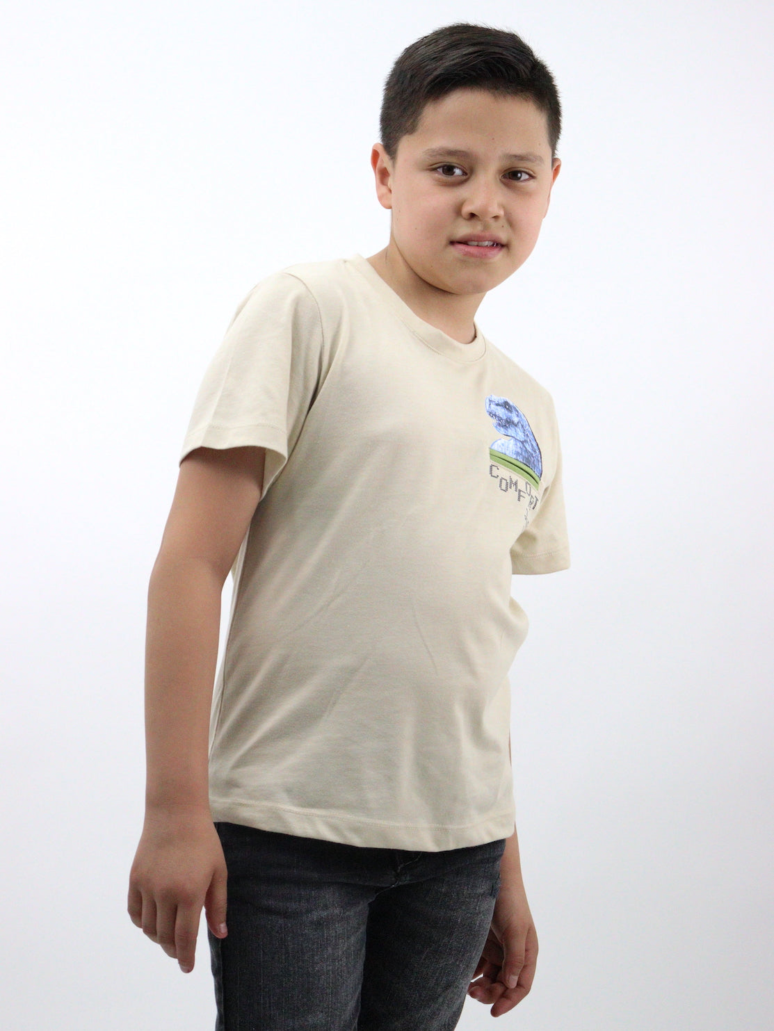 Playera manga corta con estampado de dinosaurio