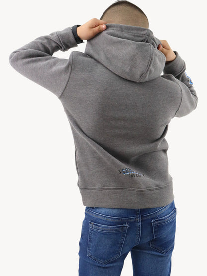 Sudadera con capucha de color gris con estampado