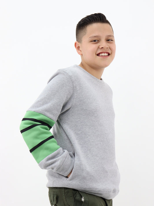 Sudadera cerrada de color gris