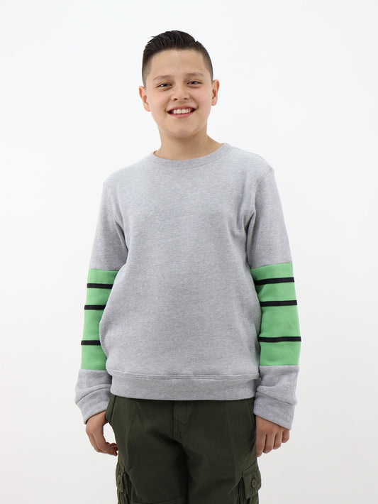 Sudadera cerrada de color gris